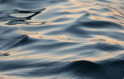 写真：海